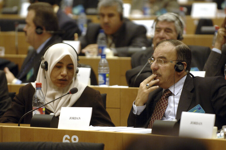 Zdjęcie 9: Plenary session of the Euro-Mediterranean Parliamentary Assembly (Euromed).