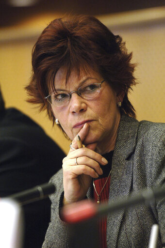 Photo 2 : Gisela KALLENBACH in a meeting at the EP in Brussels.