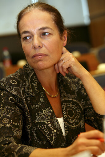 MEP Anne LAPERROUZE attends a meeting in Brussels