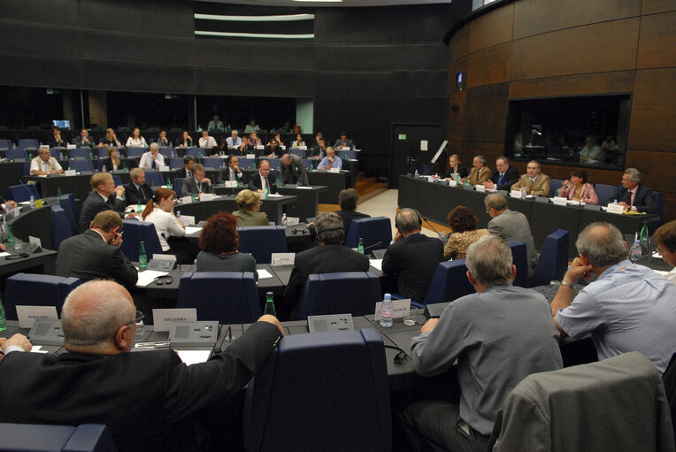 Fotografia 10: AFET - Joint meeting with the Delegation to the EU-Russia Parliamentary Cooperation Committee   - Exchange of views with the leader of the United Civil Front, Russian Federation