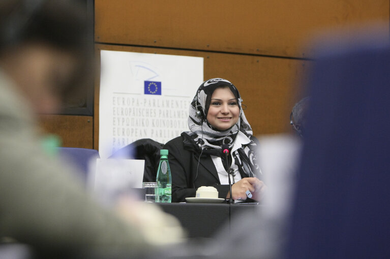 Valokuva 11: Sakharov Prize 2011. Arab Spring. Meeting with GREENS GROUP