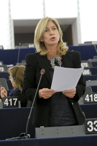 Plenary Session Week 46 in Strasbourg