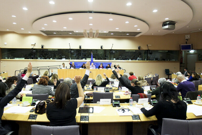 Foto 2: Debate in the FEMM Committee