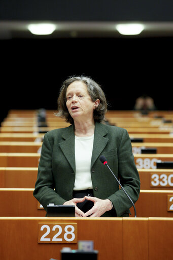 Fotografia 34: Plenary Session in Brussels - Week 48