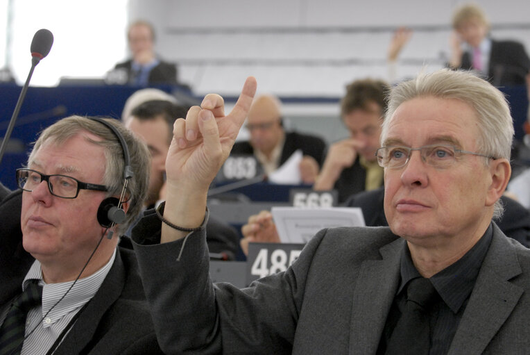 MEP Dirk STERCKX in Plenary Session