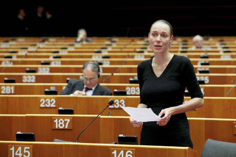 Fotografia 12: Plenary Session in Brussels - Week 48