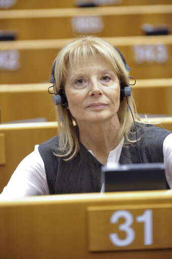 Fotografija 1: Plenary Session in Brussels - Week 48