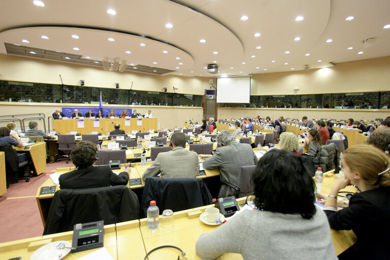 Foto 4: Hearing on  Fundamental Rights