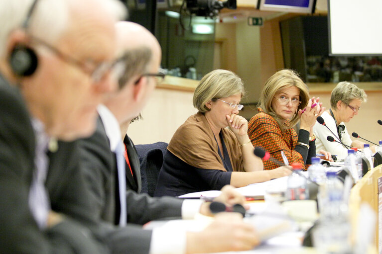 Foto 1: Hearing on  Fundamental Rights