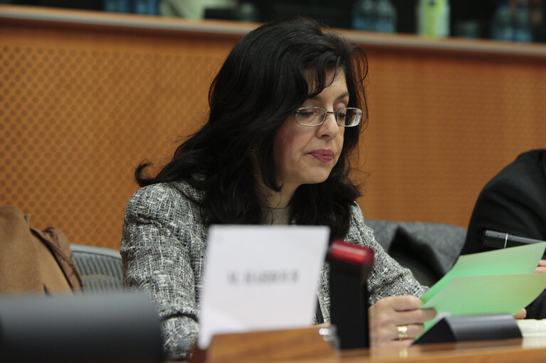 Foto 19: Committee on the Internal Market and Consumer Protection: Market Surveillance