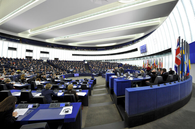 Zdjęcie 15: MEP in Plenary Session in Strasbourg - Week 46