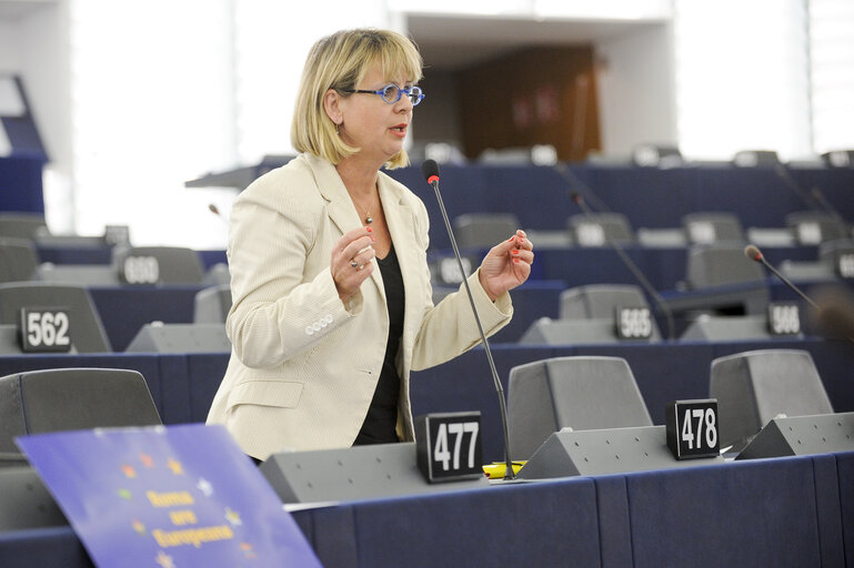 Foto 20: Plenary session in Strasbourg, week 46 - Situation of the Roma in Member States