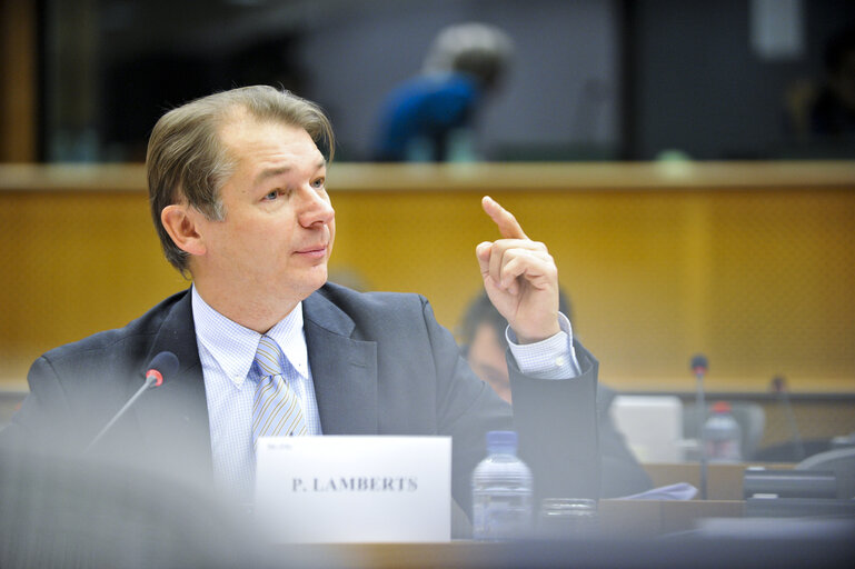 Fotografie 8: ECON Committee Meeting: Economic and Monetary Affairs. Annual Tax Report