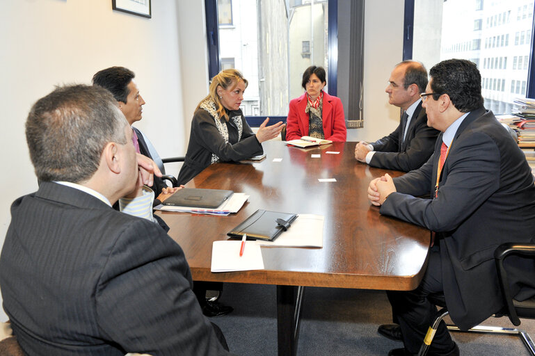 Director of the Media Directorate within the Directorate-General for Communication of the Parliament meets former Colombian Minister of Foreign Affairs, Minister of National Education