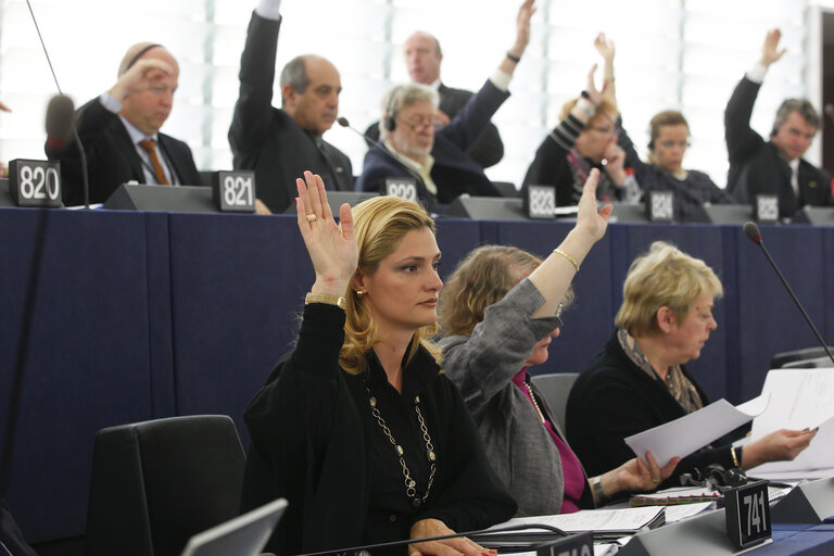 Ramona Nicole MANESCU in plenary in Strasbourg week 46