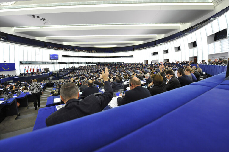 Zdjęcie 16: MEP in Plenary Session in Strasbourg - Week 46