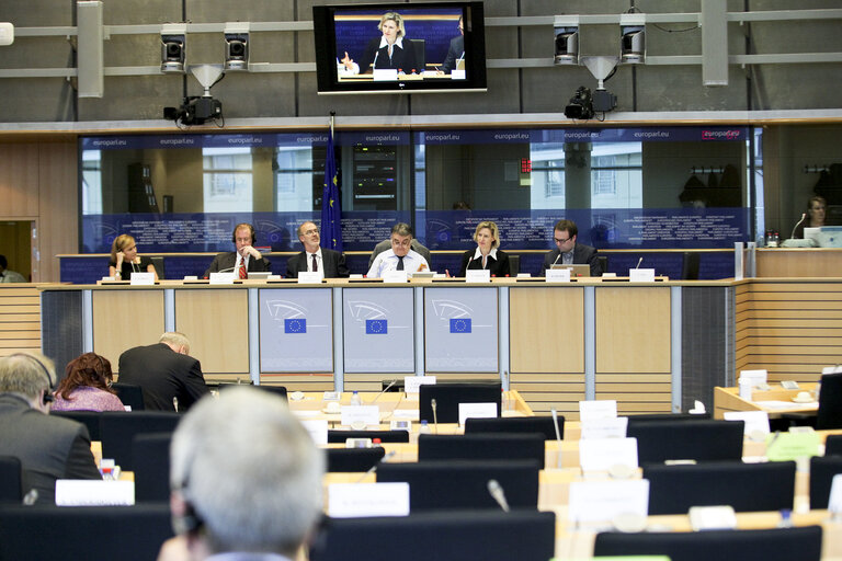 Fotografie 17: Mini-Hearing on The Recast of the Roaming Regulation