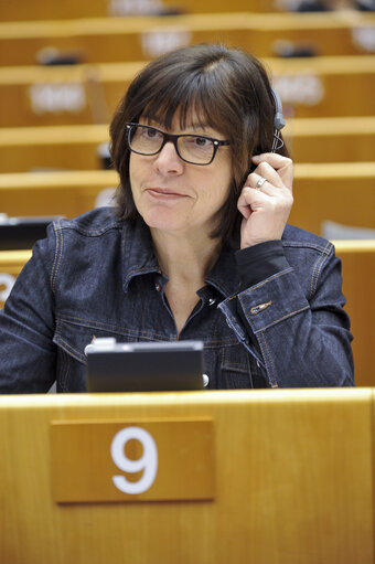 Foto 10: Plenary Session in Brussels - Week 48