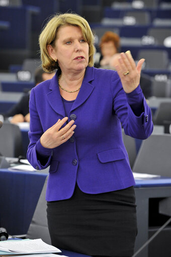 Photo 46 : Plenary Session week 50 - Conclusions of the European Council meeting ( 8/9 december 2011 )