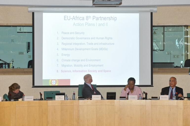 Photo 8 : EU - South Africa Meeting.