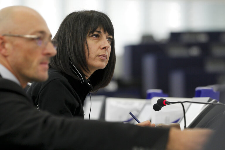 Plenary Session in Strasbourg - Week 46