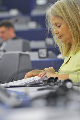 Photo 12 : Plenary Session week 50 - Conclusions of the European Council meeting ( 8/9 december 2011 )