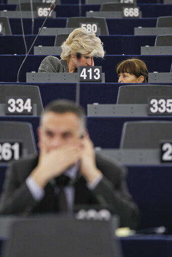 Foto 6: Plenary session week 50 - Joint debate Public access to European Parliament, Council and Commission documents