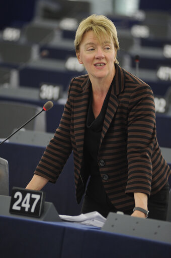 MEP in Plenary Session week 43