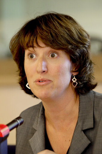 Fotografia 8: Film screening Spain's Secret Conflict