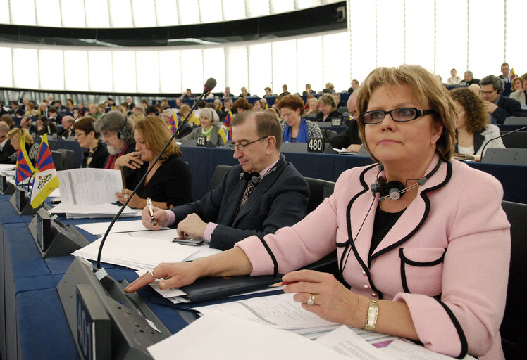 Foto 5: Siiri OVIIR MEP in plenary session in Strasbourg.