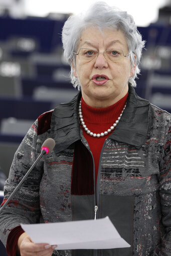 Foto 45: Plenary Session in Strasbourg - Week 43