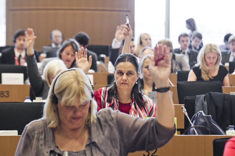 Fotografija 18: IMCO Committee meeting - votes on Online Gambling, Trade and investment barriers, EU