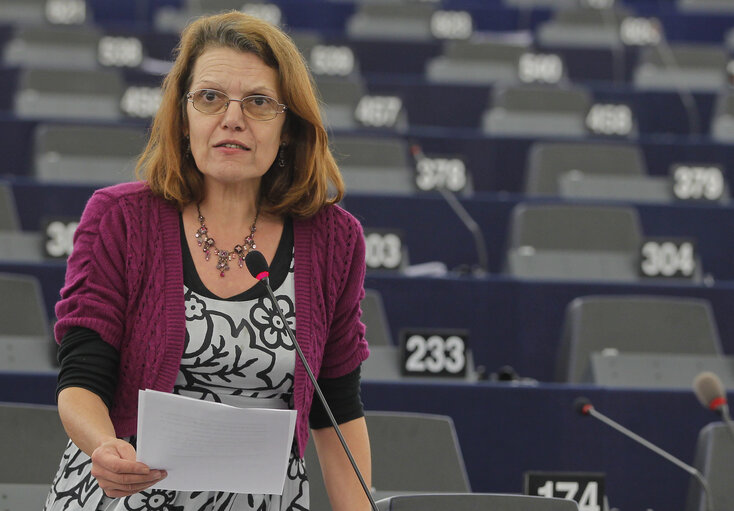 Φωτογραφία 14: MEP in Plenary Session week 43