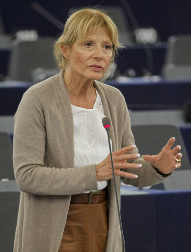 Fotografi 8: MEP in Plenary Session week 43