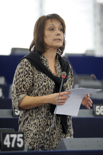 Foto 4: MEP in Plenary Session week 43