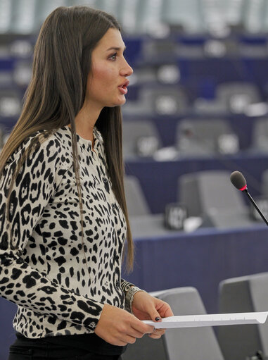 Fotografi 4: MEP in Plenary Session week 43