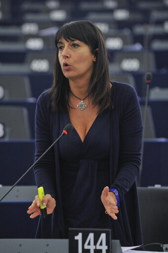 MEP in Plenary Session week 43