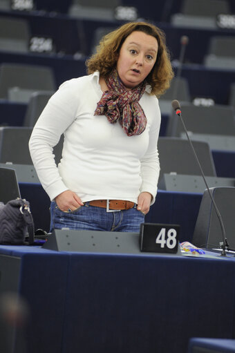 MEP in Plenary Session week 43