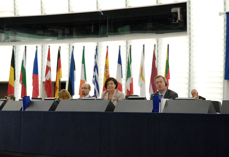 Fotó 13: MEP Mechtild ROTHE in Plenary Session