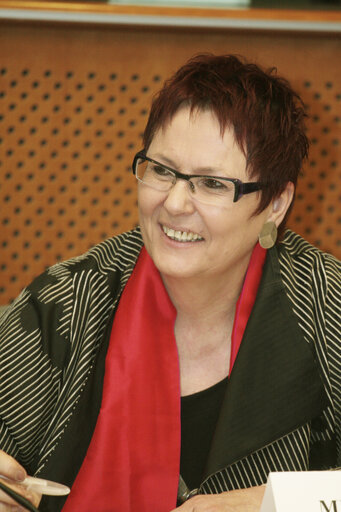 Photo 1 : MEP Karin JONS