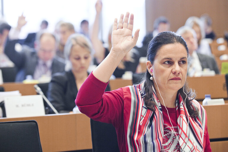 Fotografija 26: IMCO Committee meeting - votes on Online Gambling, Trade and investment barriers, EU