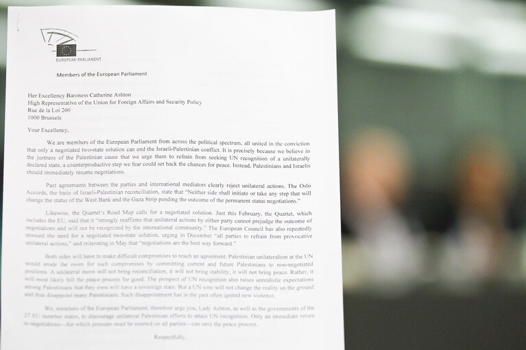 High Representative of the  European External Action Service