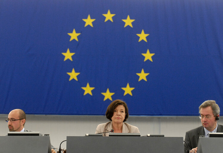 MEP Mechtild ROTHE in Plenary Session