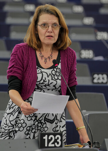 Fotografi 15: MEP in Plenary Session week 43