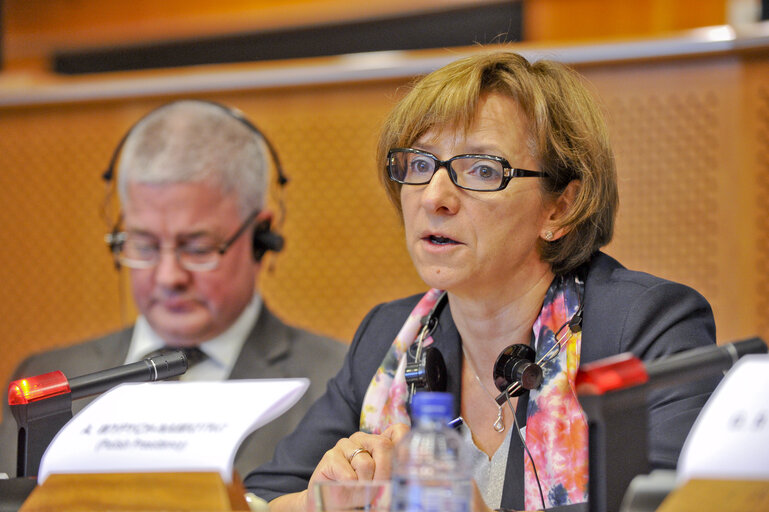 Fotografija 15: Hearing: Facing the threat of piracy: current challenges and possible solutions