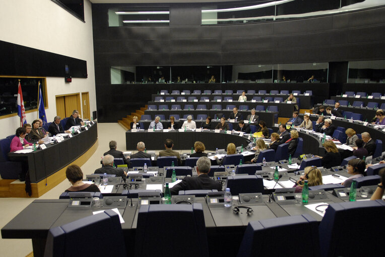 Valokuva 3: The EU-Croatia joint parliamentary Meeting