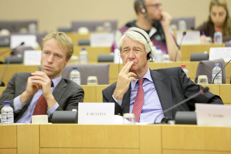 Foto 3: Hearing on  Fundamental Rights