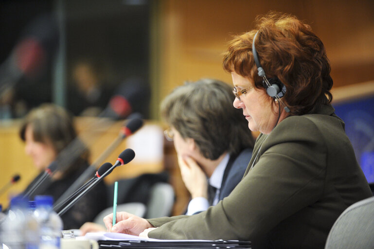 Foto 12: ECON Committee Meeting: Economic and Monetary Affairs. Annual Tax Report