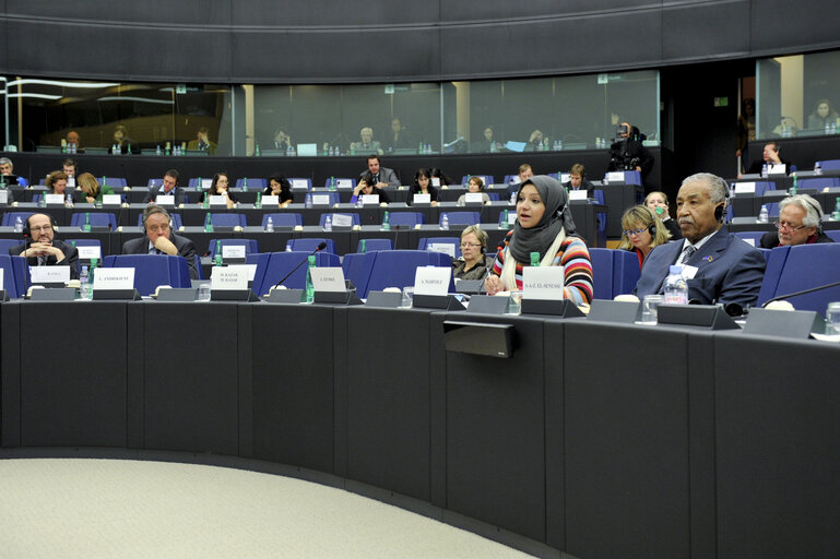 Fotografie 9: Joint meeting with the Committee on Foreign Affairs, the Committee on Development and the Subcommittee on Human Rights with Sakharov laureates