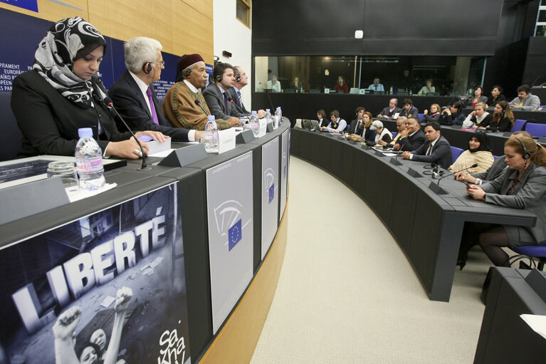 Billede 8: Sakharov Prize 2011, press conference